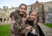 Record Attendance as Galway Science Festival Begins