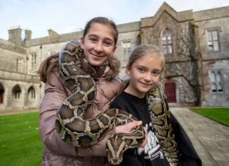 Record Attendance as Galway Science Festival Begins