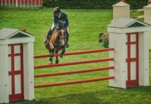 How Irish Casino Sites Are Fueling Boxing, Horse Racing & More