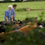 Loughrea farmer’s winning approach to soil health