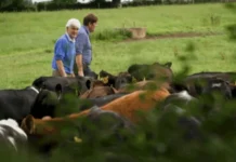 Loughrea farmer’s winning approach to soil health