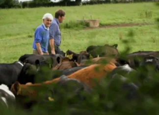 Loughrea farmer’s winning approach to soil health