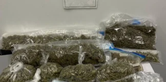 File for DPP on €77,000 Tuam drugs raid