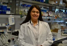 Scientists piecing together the puzzle of nerve repair