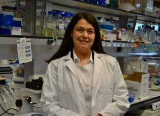 Scientists piecing together the puzzle of nerve repair