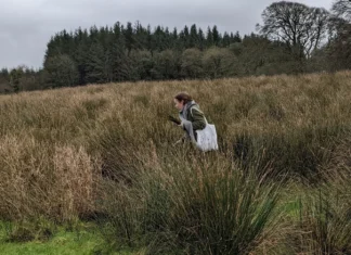 Galway County Council announces 2026 Artist Support Scheme recipients Killimor-based visual artist Laurie Legrand.