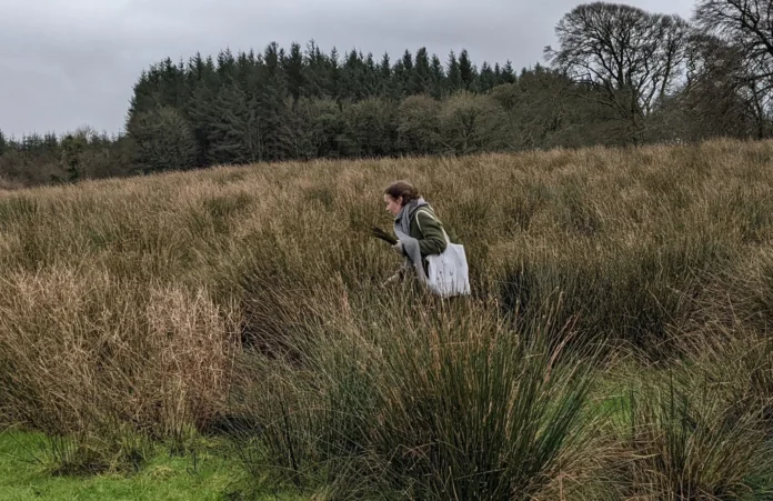 Killimor-based visual artist Laurie Legrand.