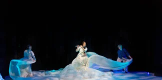 Antarctica! Crew wanted for a bold sensory expedition from Galway across the Globe