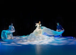 Antarctica! Crew wanted for a bold sensory expedition from Galway across the Globe