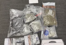 One man arrested in connection with €43,000 drugs seizure