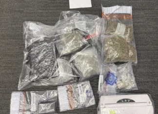 One man arrested in connection with €43,000 drugs seizure