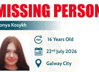Gardaà seek public assistance in locating missing teenager