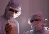 Research finds therapy may slow kidney damage from type 2 diabetes