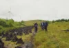 Eco-arts project coming to Inishbofin this September