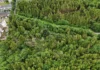 Plans to restore Merlin Woods with native trees