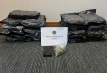 Gardaà seize nearly €250k of drugs in Galway City raids