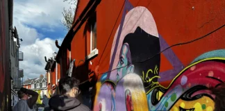Galway artists transform Pump Lane with vibrant street art
