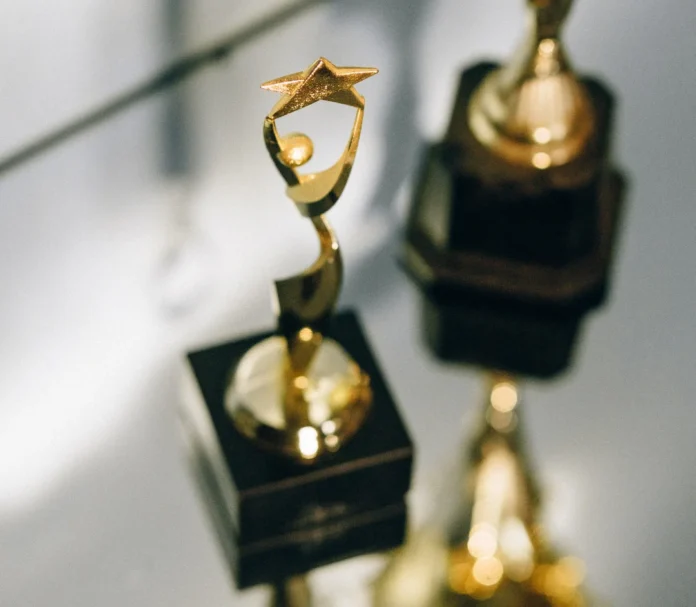 Excellence in Local Government