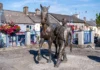 Tourism drive aims to put East Galway on the map