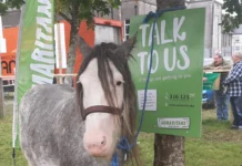 Samaritans attending Ballinasloe Fair to support people struggling with mental health