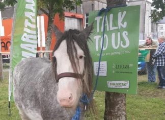 Samaritans attending Ballinasloe Fair to support people struggling with mental health