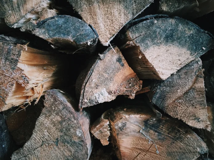 pexels-bark-1868004